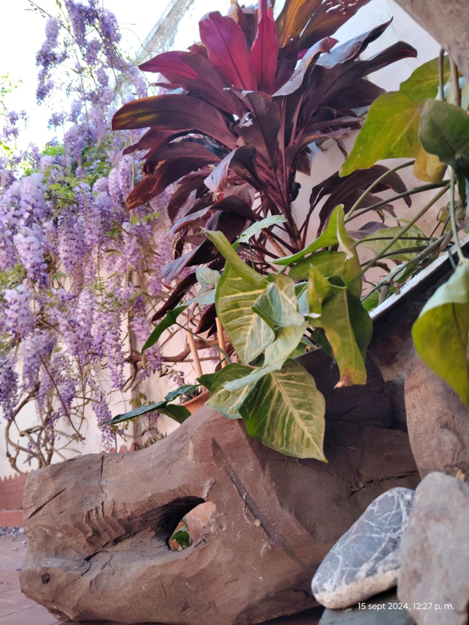 Casa Kuyay Βίλα San Salvador de Jujuy Εξωτερικό φωτογραφία
